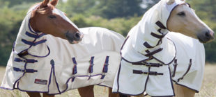 Fly Protection for Horses